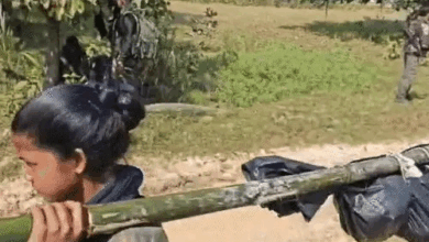 बीजापुर एनकाउंटर…बुच्चन्ना और पापाराव की पत्नी समेत 6 नक्सली ढेर