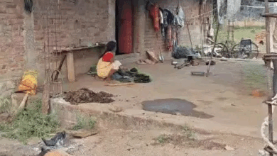 गरियाबंद में एक ही परिवार के 3 बच्चों की मौत:बुखार आने पर बैगा-गुनिया से झाड़-फूंक कराते रहे; 3 दिन में मासूमों ने तोड़ा दम