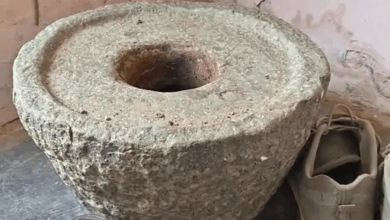 साले ने जीजा के सिर पर सिलबट्टा मारकर हत्या की:दुर्ग में अमरूद तोड़ने को लेकर विवाद, पैसों को लेकर पहले से झगड़ा था