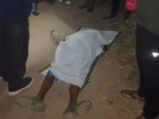 सरगुजा में बड़े बेटे ने पिता को पीट-पीटकर मार डाला:छोटी बहू के नाम जमीन की रजिस्ट्री करने से नाराज था; डंडे से मारकर मर्डर