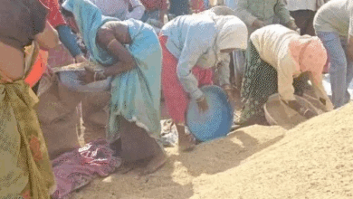 सरकार ने अब तक 450 करोड़ रुपए का धान खरीदा:14 लाख क्विंटल से ज्यादा धान की खरीदी, प्रदेश में 26.50 लाख किसानों का पंजीयन