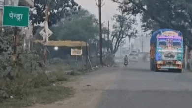 उत्तर छत्तीसगढ़ में शीतलहर का प्रकोप: अंबिकापुर 8°, पेंड्रा-अमरकंटक में कड़ाके की ठंड