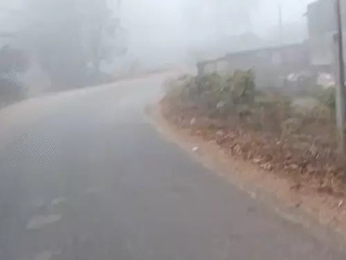पेंड्रा-मैनपाट में जमी ओस की बूंदें…घनी धुंध छाई:अंबिकापुर में पारा 4.6°, तापमान में उतार-चढ़ाव से मौसमी बीमारियां बढ़ी; 3 दिन बाद राहत के आसार