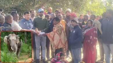 लोनर हाथी ने कुचला, 24 घंटे के भीतर दो महिला की मौत