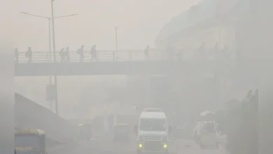 कड़ाके की ठंड से ठिठुरा उत्तर भारत: पहाड़ों पर बर्फ बनी मुसीबत, जानिए पहाड़ों से मैदानों तक कैसा रहा मौसम