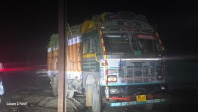 सूरजपुर: देर रात अवैध गन्ना परिवहन पर प्रशासन का शिकंजा, SDM की कार्रवाई से मचा हड़कंप