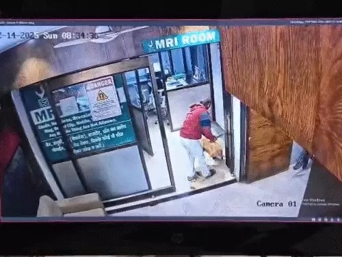 काटने का बदला लेने कुत्ते को बेरहमी से पीटा VIDEO:डंडे से 15 वार किए, कहा- मुझे और मेरे बेटे को काटा था; आरोपी गिरफ्तार