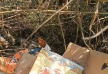 रायगढ़ में शिकार करने गए 2 ग्रामीणों की लाश मिली:करंट की चपेट में आए, साथियों ने बचने के लिए शव-छिपाया; हिरासत में 4 आरोपी