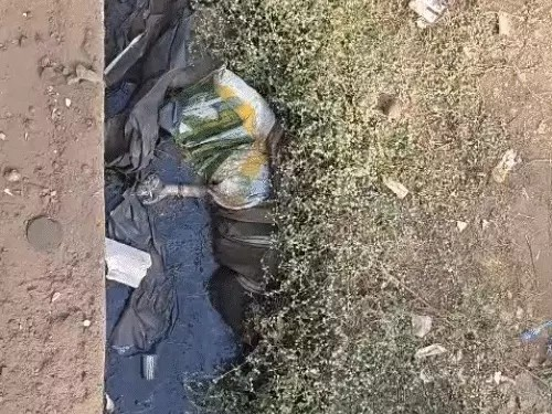 दुर्ग पुलिस से नहीं डरता कहने वाला NSUI नेता अडंरग्राउंड:कल्याण-कॉलेज के प्रिंसिपल को जूते की माला पहनाने की कोशिश की थी, 2 गिरफ्तार दुर्ग पुलिस से नहीं डरता कहने वाला NSUI नेता अडंरग्राउंड:कल्याण-कॉलेज के प्रिंसिपल को जूते की माला पहनाने की कोशिश की थी, 2 गिरफ्तार