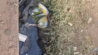 भिलाई में बोरे में बंद मिली अज्ञात महिला की लाश:गंध आने पर लोगों ने पुलिस को दी सूचना, हत्या की आशंका भिलाई में बोरे में बंद मिली अज्ञात महिला की लाश:गंध आने पर लोगों ने पुलिस को दी सूचना, हत्या की आशंका