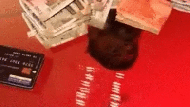 नए साल से पहले रायपुर में ड्रग्स के साथ युवक-युवती,VIDEO:टेबल पर 19 लाइन बनाई, कैश-क्रेडिट कार्ड दिखा, गृहमंत्री शर्मा बोले-जांच के बाद एक्शन लेंगे