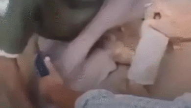केरल में CG के मजदूर को बांग्लादेशी समझकर पीटा, मौत:पिटाई से 80 से ज्यादा चोटें, डॉक्टर बोले-शरीर का कोई हिस्सा चोट से नहीं बचा