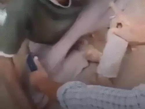 केरल में CG के मजदूर को बांग्लादेशी समझकर पीटा, मौत:पिटाई से 80 से ज्यादा चोटें, डॉक्टर बोले-शरीर का कोई हिस्सा चोट से नहीं बचा