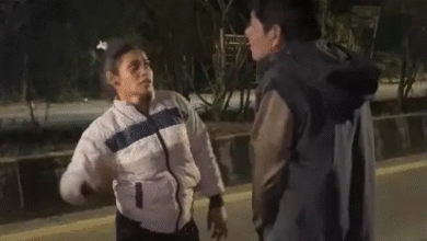 बिलासपुर में नशे में युवक-युवती का हाई-वोल्टेज ड्रामा, VIDEO:युवक को थप्पड़ जड़े, गाड़ी के सामने कूदकर मरने का नाटक करती रही, लड़का मनाता रहा
