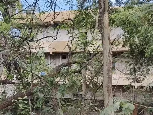मोजो-मशरूम फैक्ट्री केस…28 दिन बाद भी FIR नहीं:रेस्क्यू-टीम का नहीं हुआ बयान,104 बच्चों का हुआ था रेस्क्यू, सीएसपी बोले-अधिकारियों से मांगे गए हैं सबूत