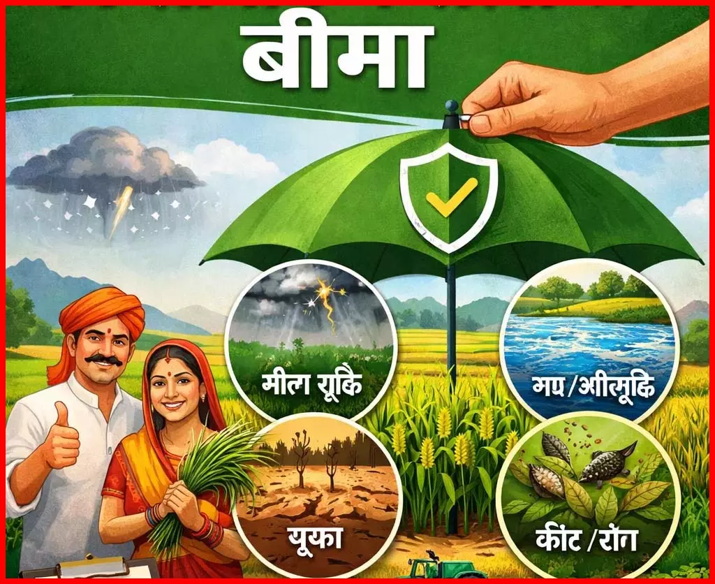 उद्यानिकी फसलों का बीमा कराने की अंतिम तिथि 31 दिसंबर तक