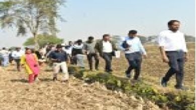 धमतरी: कलेक्टर ने किया ग्रामीण क्षेत्रों का दौरा, खेतों में जाकर चना, सरसों व अरहर फसलों का लिया जायजा
