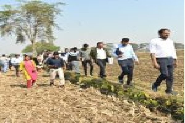 धमतरी: कलेक्टर ने किया ग्रामीण क्षेत्रों का दौरा, खेतों में जाकर चना, सरसों व अरहर फसलों का लिया जायजा धमतरी: कलेक्टर ने किया ग्रामीण क्षेत्रों का दौरा, खेतों में जाकर चना, सरसों व अरहर फसलों का लिया जायजा