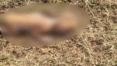 कड़ाके की ठंड में नवजात को फेंका, मौके पर मौत से मऊगंज में सनसनी