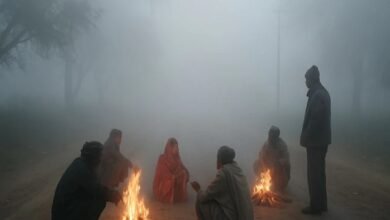 राजस्थान में शीतलहर का अलर्ट: 2 डिग्री पारा तक गिरेगा, कल जयपुर में छाए रहेंगे बादल