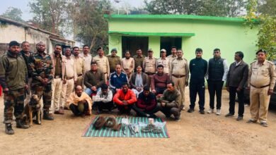 सूरजपुर: भैसामुंडा-रेवटी जंगल में बाघ की हत्या का खुलासा, महिला सरपंच समेत 6 आरोपी गिरफ्तार