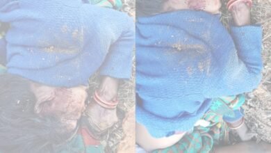 जंगल में मिली महिला की कुचली हुई लाश, सूरजपुर में दिल दहला देने वाली वारदात