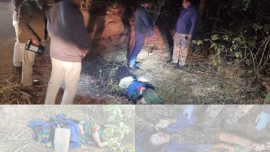 चंदौरा जंगल में महिला की निर्मम हत्या: शिनाख्त नहीं होने से गहराया रहस्य, SDOP व फोरेंसिक टीम ने रातभर की बारीकी से जांच