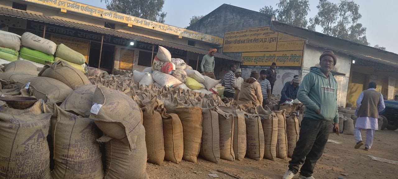 मऊगंज: नौढ़िया में प्रति बोरी ‘रिश्वत टैक्स’, छुट्टी के दिन तौल; वायरल वीडियो ने खोली व्यवस्था की परतें
