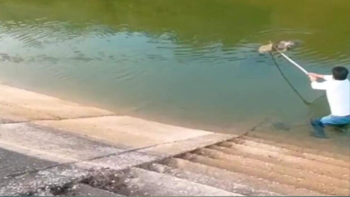 सीधी में रहस्यमयी मौत! नहर में मिला 45 वर्षीय व्यक्ति का शव