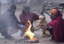 छत्तीसगढ़ शीतलहर की चपेट में , इन जिलों के लिए मौसम विभाग ने जारी किया अलर्ट, अभी और गिरेगा तापमान