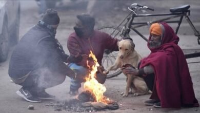 छत्तीसगढ़ शीतलहर की चपेट में , इन जिलों के लिए मौसम विभाग ने जारी किया अलर्ट, अभी और गिरेगा तापमान