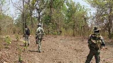 CG Breaking : सुकमा में सुबह से नक्सलियों और सुरक्षा बलों के बीच मुठभेड़ जारी , 2-3 माओवादियों को ढेर करने की खबर
