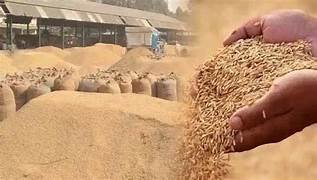 दुर्ग जिले में धान खरीदी तेज, अब तक 2.68 लाख मीट्रिक टन से अधिक उपज का उपार्जन