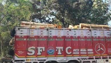 नीलगिरि लकड़ी के नाम पर अवैध वसूली, कारोबारियों से गालिगलौज औऱ उगाही की शिकायत – Vayam Bharat