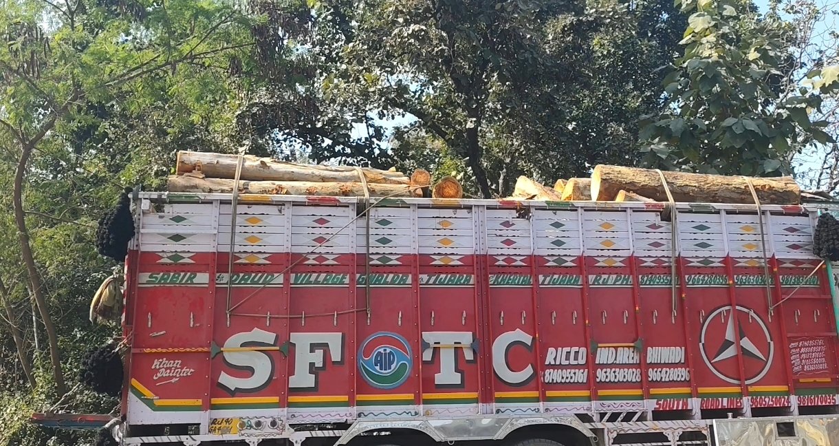 नीलगिरि लकड़ी के नाम पर अवैध वसूली, कारोबारियों से गालिगलौज औऱ उगाही की शिकायत – Vayam Bharat