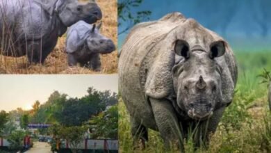 लखीमपुर खीरी : दुधवा-गौरीफंटा बस सेवा को मिला विस्तार, अब प्राकृतिक पर्यटन को मिलेगा बढ़ावा