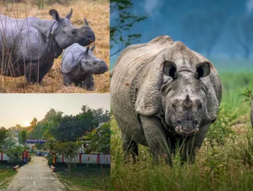 लखीमपुर खीरी : दुधवा-गौरीफंटा बस सेवा को मिला विस्तार, अब प्राकृतिक पर्यटन को मिलेगा बढ़ावा