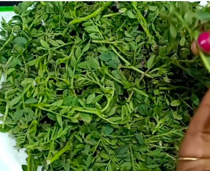 रीवा: चने की भाजी बनी जहर… पिता की मौत, माँ-बेटी गंभीर
