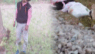 यूपी में नाकाम मुहब्बत का खौफनाक अंत, प्रेमी की फांसी पर लटकी लाश और प्रेमिका का रेलवे ट्रैक पर शव मिलने से सनसनी