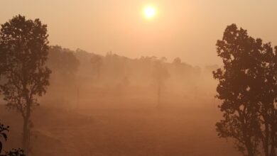 भीषण ठंड से कांप रहा छत्तीसगढ़, राजधानी में बिछी कोहरे की चादर, कई जिलों में शीतलहर का अलर्ट भीषण ठंड से कांप रहा छत्तीसगढ़, राजधानी में बिछी कोहरे की चादर, कई जिलों में शीतलहर का अलर्ट