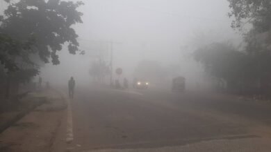 छत्तीसगढ़ के ज्यादातर जिले शीतलहर की चपेट में, राजधानी में सुबह दिखा घना कोहरा