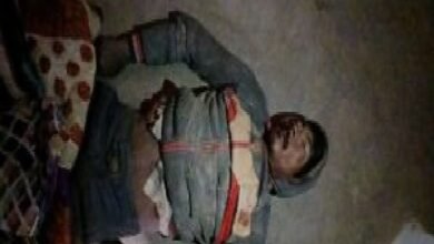 कोरबा में हाथियों का आतंक: गांव में घुसकर ग्रामीण को कुचला, 3 दिन में 3 लोगों की मौत