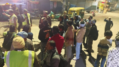 महाराष्ट्र में कबूतरों को दाना खिलाने पर कोर्ट सख्त, लगाया 5000 रुपए का जुर्माना