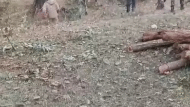 आदिवासी-ईसाई समुदाय भिड़े, 2 चर्च में लगाई आग, VIDEO:कांकेर में एक दूसरे को दौड़ा-दौड़ाकर पीटा, शव दफनाने पर बवाल; ASP-20 पुलिसकर्मी भी घायल