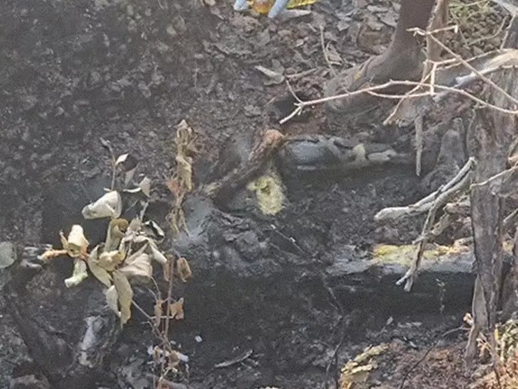 61 दिन बाद जिंदा लौटा मृत युवक:थाने पहुंचा, कहा- झारखंड मजदूरी करने गया था, जशपुर में हत्या के आरोप में 3 दोस्त जेल में 61 दिन बाद जिंदा लौटा मृत युवक:थाने पहुंचा, कहा- झारखंड मजदूरी करने गया था, जशपुर में हत्या के आरोप में 3 दोस्त जेल में