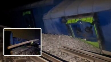 जमुई में सीमेंट से लदी मालगाड़ी पलटी, नदी में गिरीं 5 बोगियां, पटरियां भी उखड़ीं… कई ट्रेनों का रूट प्रभावित