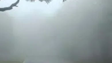 छत्तीसगढ़ भीषण ठंड के साथ घने कोहरे की चपेट में ,इन जिलों में शीतलहर का अलर्ट