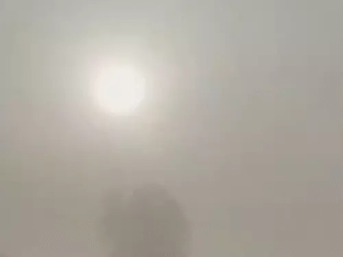 उत्तर-मध्य छत्तीसगढ़ में शीतलहर, सरगुजा में घना कोहरा:सिर्फ 20 मीटर रही विजिबिलिटी, 4 दिनों में ठंड और बढ़ेगी, स्किन संबंधी समस्याएं बढ़ीं उत्तर-मध्य छत्तीसगढ़ में शीतलहर, सरगुजा में घना कोहरा:सिर्फ 20 मीटर रही विजिबिलिटी, 4 दिनों में ठंड और बढ़ेगी, स्किन संबंधी समस्याएं बढ़ीं