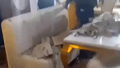 रायपुर के रजवाड़ा रिसॉर्ट में गिरी फॉल सीलिंग, 4 घायल:डिनर करने पहुंचे ग्राहकों के सिर पर लगी चोट, थाने में मामला दर्ज नहीं