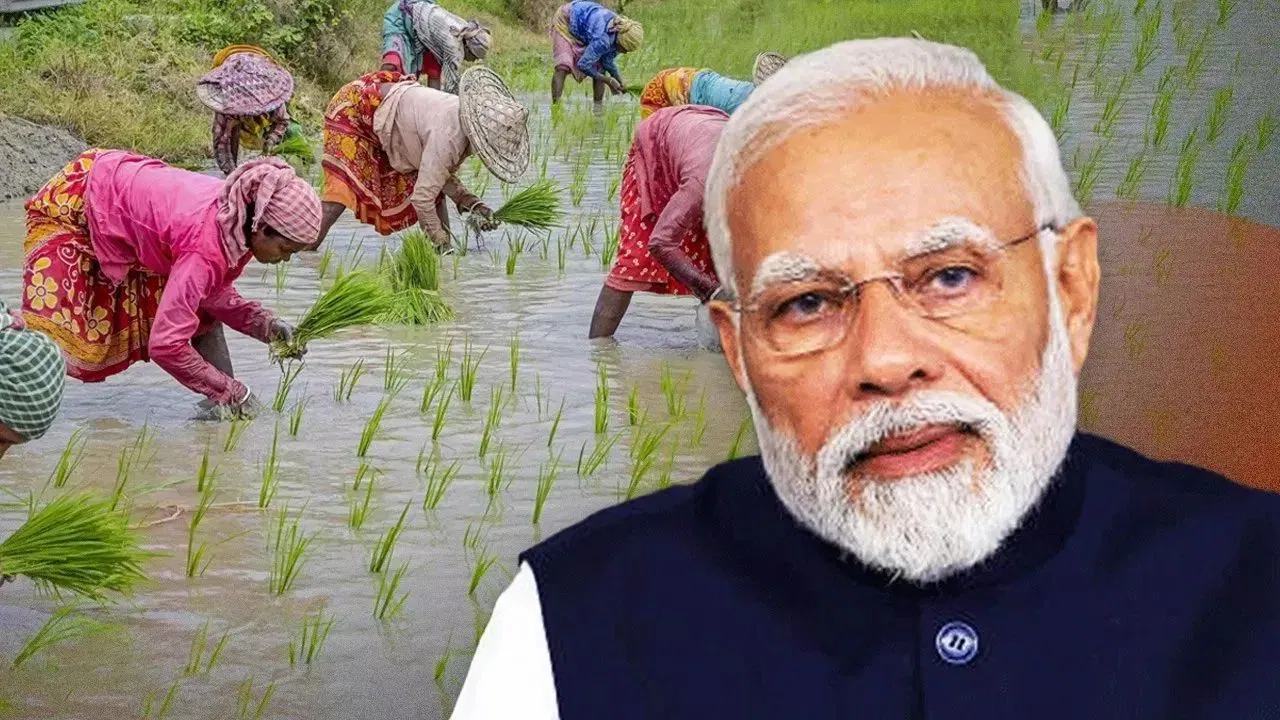 बजट 2026 में PM किसान सम्मान निधि की राशि बढ़ने की उम्मीद, किसानों को मिल सकती है बड़ी राहत बजट 2026 में PM किसान सम्मान निधि की राशि बढ़ने की उम्मीद, किसानों को मिल सकती है बड़ी राहत